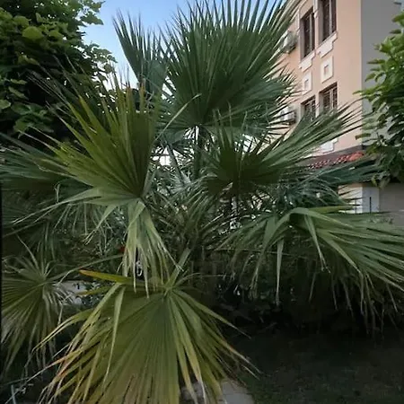Apartment Green Life 4D02 At Smokinya Beach *